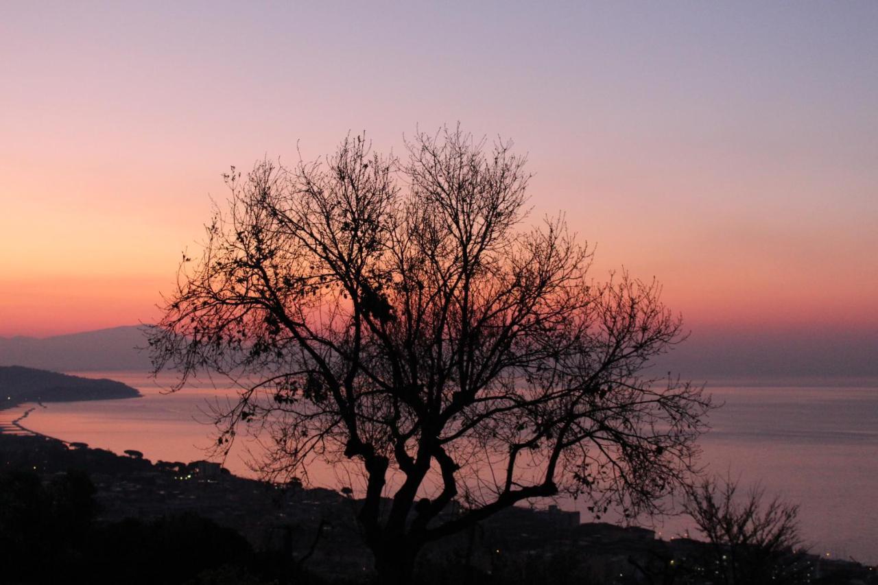 פורמיה Villa Treglia B&B מראה חיצוני תמונה